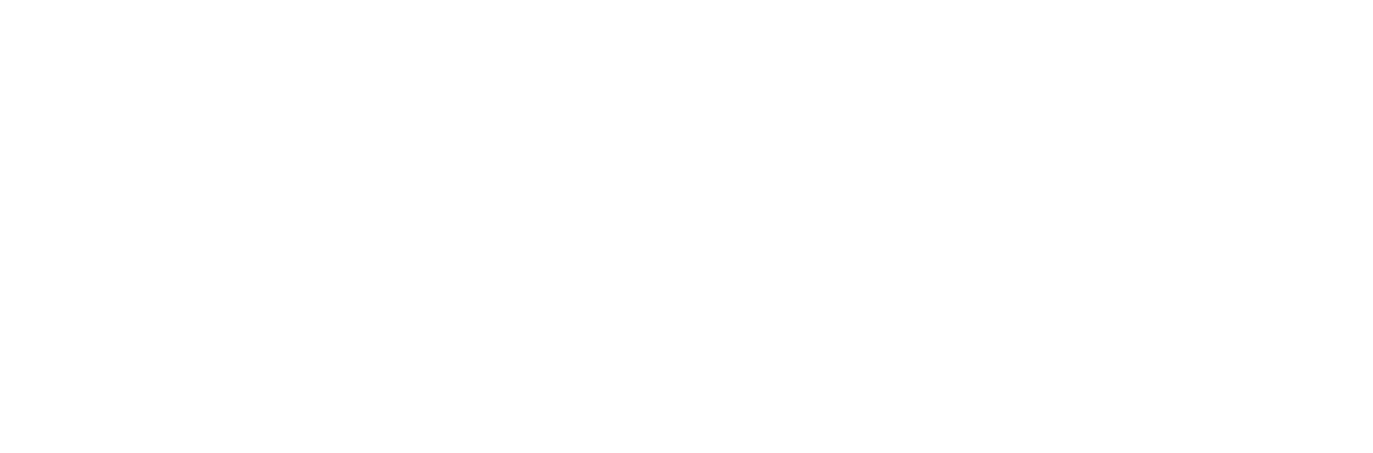Rui Ramoa Advogado